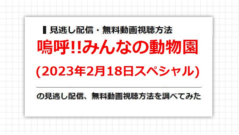 嗚呼!!みんなの動物園(2023年2月18日スペシャル)の見逃し配信、無料動画視聴方法を調べてみた