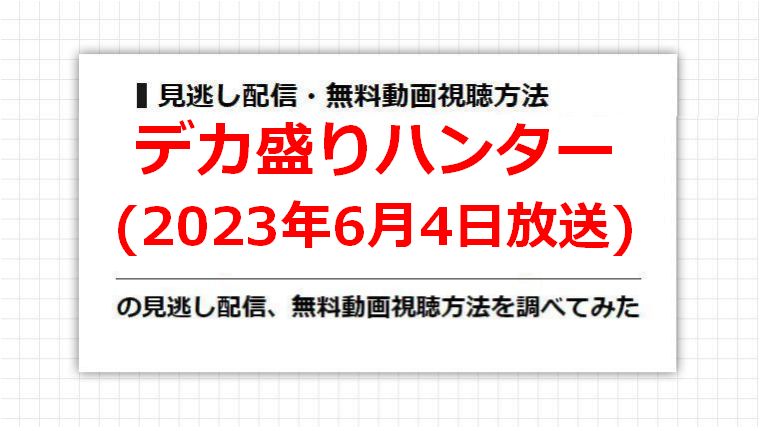 デカ盛りハンター(2023年6月4日放送)の見逃し配信、無料動画視聴方法を調べてみた