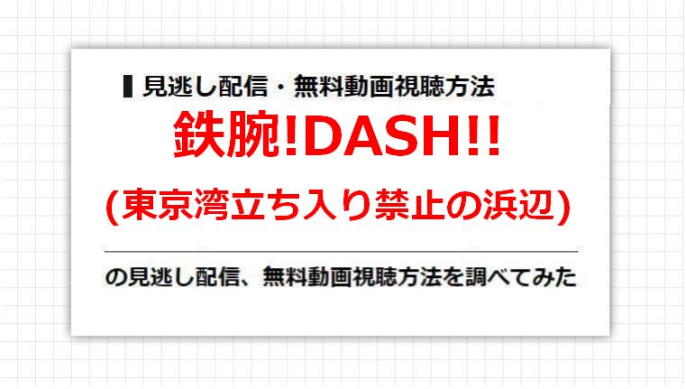 鉄腕!DASH!!(東京湾立ち入り禁止の浜辺)の見逃し配信、無料動画視聴方法を調べてみた
